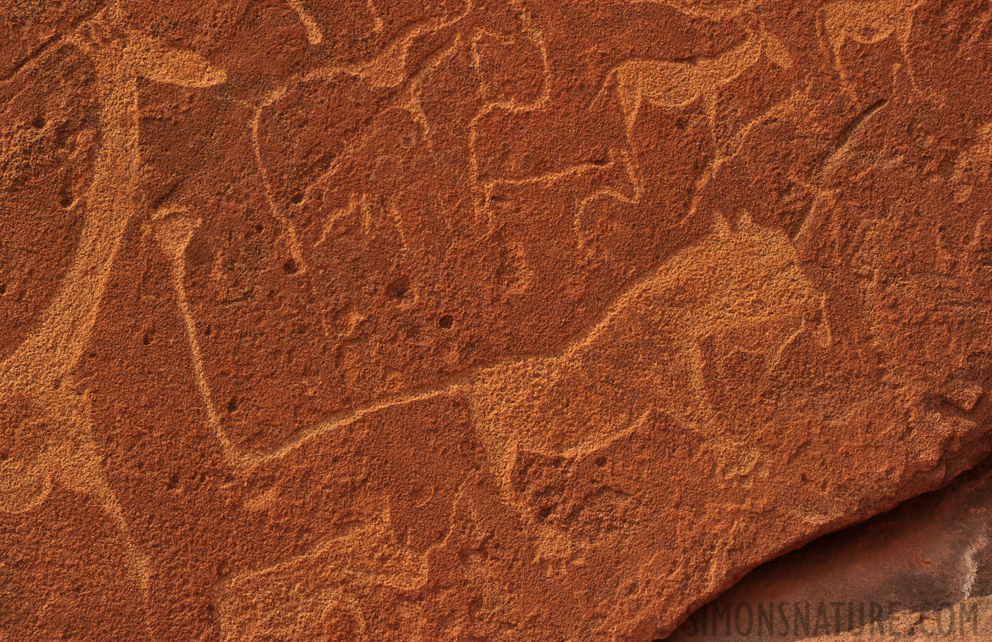 San People Rock Engravings [160 mm, 1/250 sec at f / 11, ISO 400]